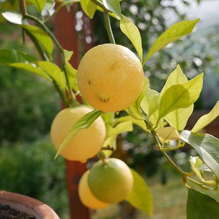 Appartamento Haus Philipp Bad Urach Esterno foto